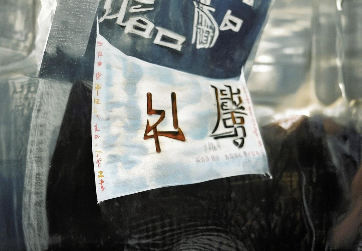 厄德高领衔球队崛起：技术、领导力与未来潜力解析