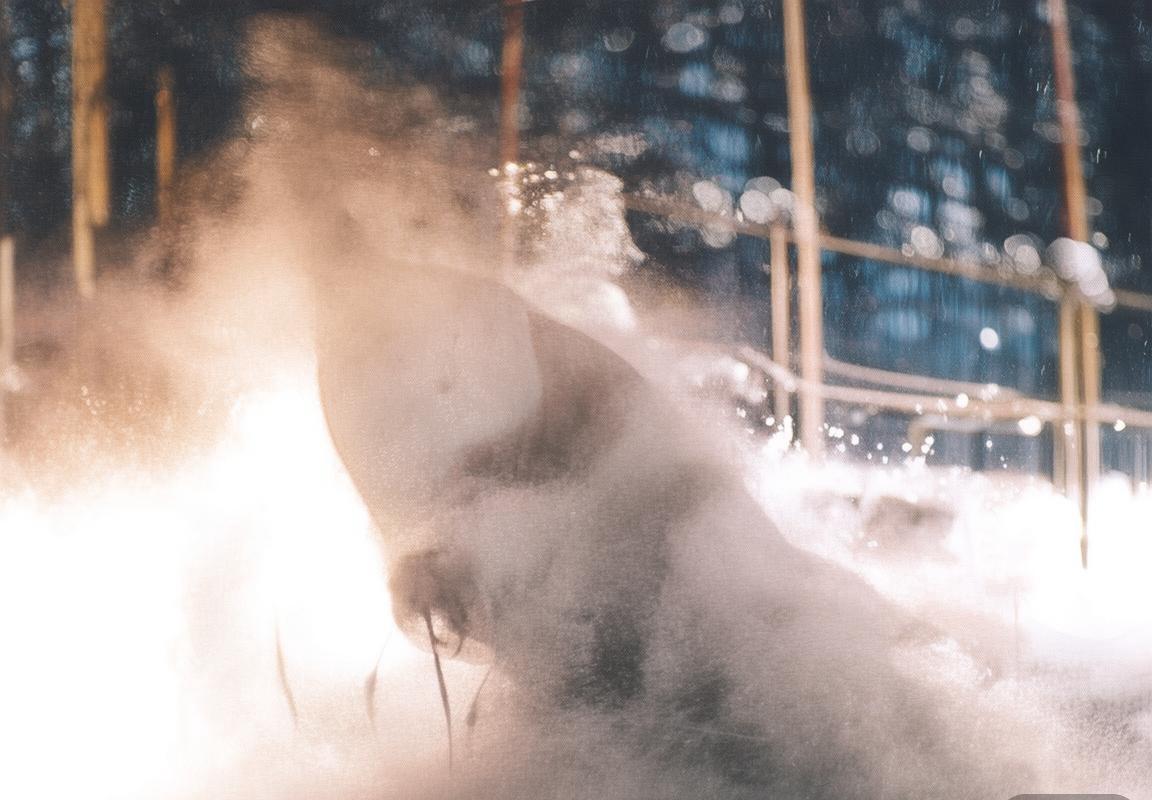 足球盛宴：福利特与阿克宁对决解析——战术、个人表现与心理博弈